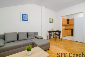 Furnished new attic flat 2+kk to rent close to metro Florenc, Praha Karlín