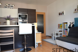 Furnished 1 bedroom flat with balcony and parking place Hostivar