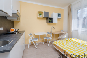 Furnished cozy studio flat to rent Prague 4 close metro Kačerov